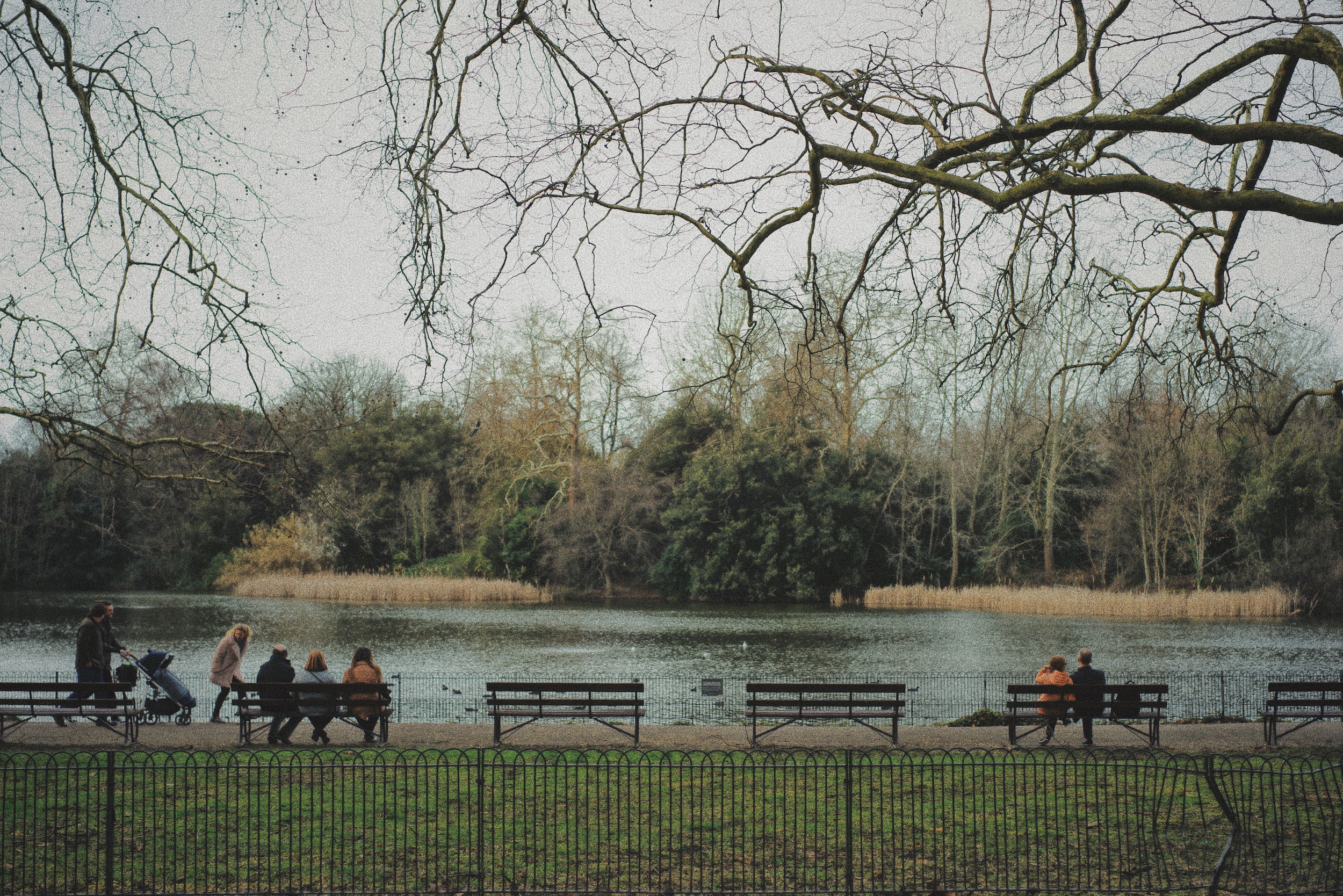 Battersea Park, Wen Chen, unsplash.com